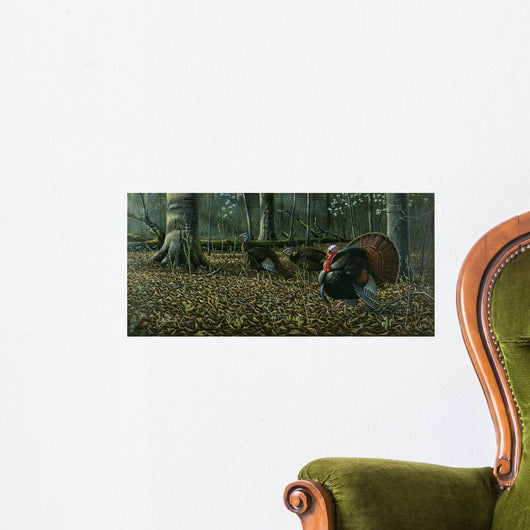 Suitor Wild Turkeys Wall Decal