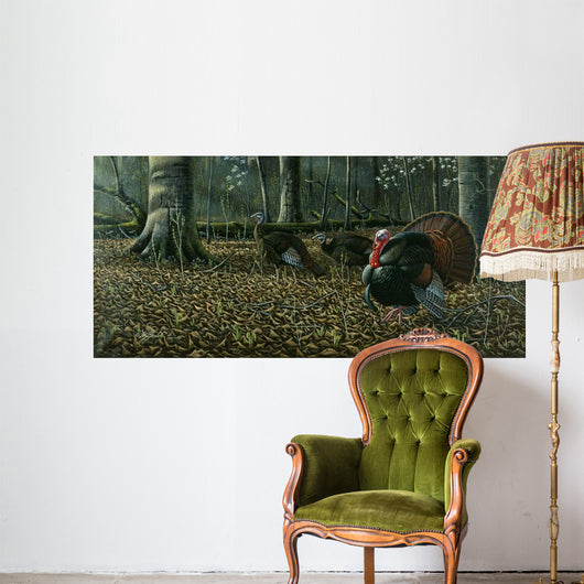 Suitor Wild Turkeys Wall Decal