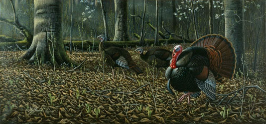 Suitor Wild Turkeys Wall Decal