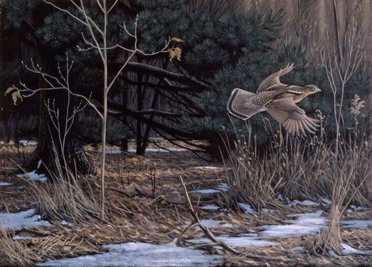 Grouse Wing Wall Decal