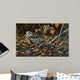 Migration Stop Woodcock Wall Decal