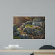 Eye Prize Wall Decal