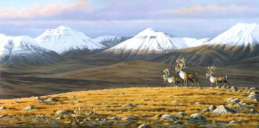 Time Passages Mountain Caribou Wall Decal