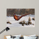 Winter Walk Pheasant Wall Decal