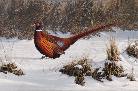 Winter Walk Pheasant Wall Decal