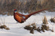 Winter Walk Pheasant Wall Decal