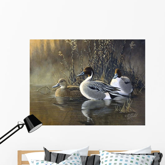 Pintail Trios Wall Decal