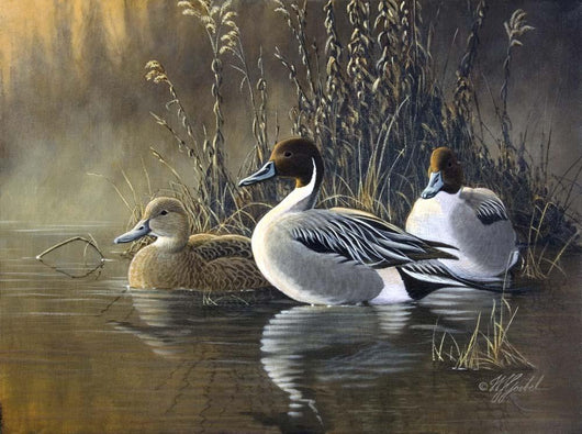 Pintail Trios Wall Decal