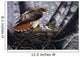 In The Nest Wall Mural
