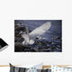 Winter Shore Snowy Owl Wall Decal