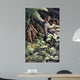 Limb Wall Decal