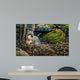 Grey Fox Wall Decal