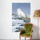 Snowy Owl Wall Decal