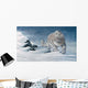 Stalking Storm Wall Decal