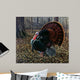King Spring Wild Turkey Wall Decal