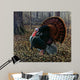 King Spring Wild Turkey Wall Decal