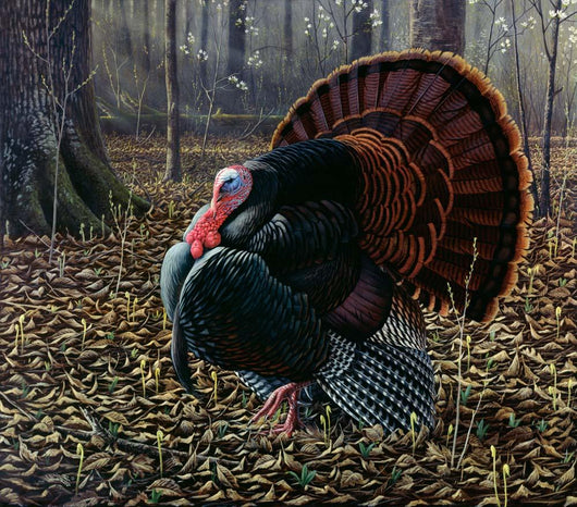 King Spring Wild Turkey Wall Decal