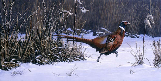 Heading for Cover Wall Decal