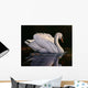 Reflection Mute Swan Wall Decal