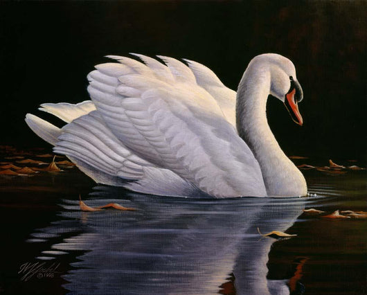 Reflection Mute Swan Wall Decal