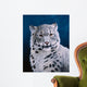 Young Snow Leopard Wall Decal