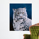 Young Snow Leopard Wall Decal