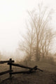 Early Morning I Wall Decal