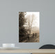 Early Morning Ii Wall Decal