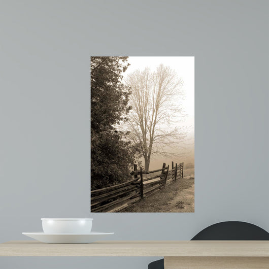 Early Morning Ii Wall Decal