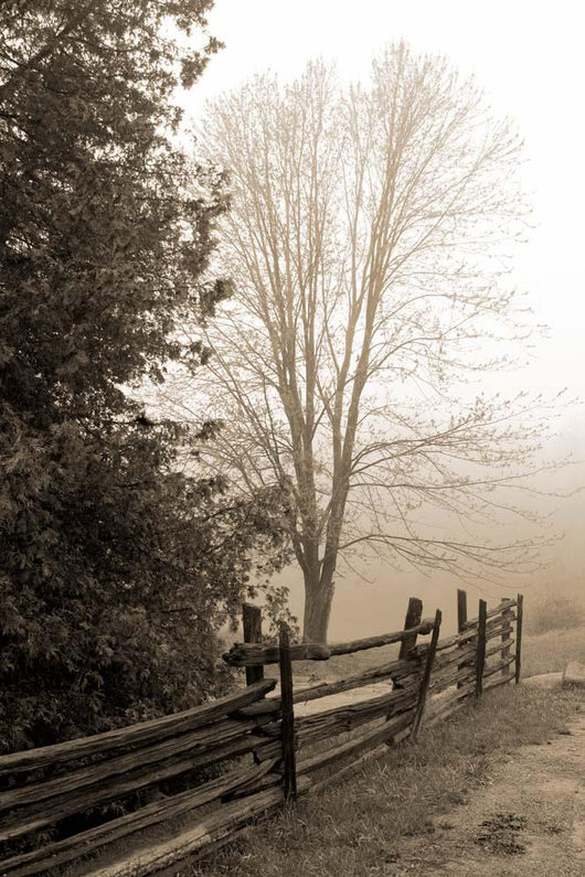 Early Morning Ii Wall Decal