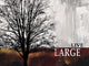 Live Large Wall Decal