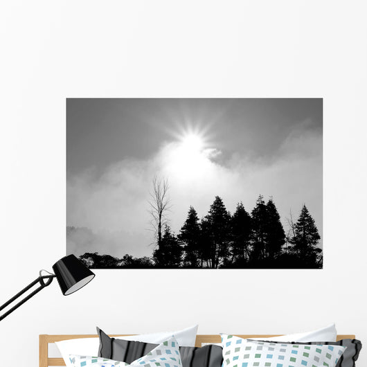Sunfire Wall Decal