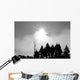 Sunfire Wall Decal