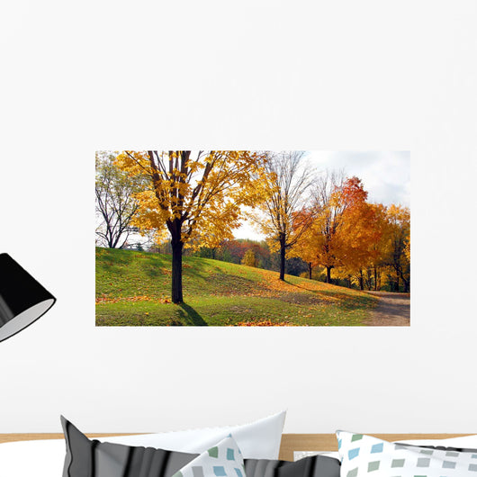 Sunlight and Shadows Wall Decal