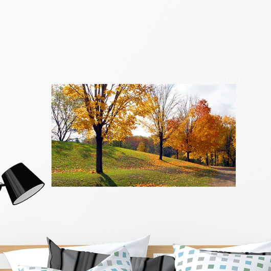 Sunlight and Shadows Wall Decal