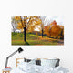 Sunlight and Shadows Wall Decal