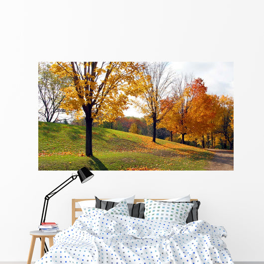 Sunlight and Shadows Wall Decal