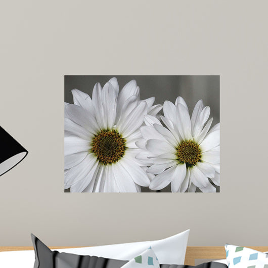 Don Wall Decal Design 2
