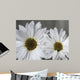 Don Wall Decal Design 2