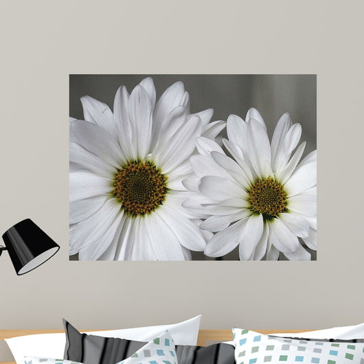 Don Wall Decal Design 2