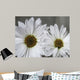 Don Wall Decal Design 2