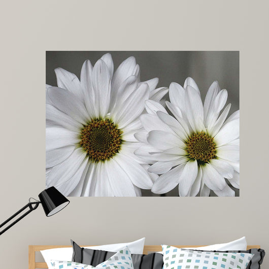 Don Wall Decal Design 2