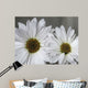 Don Wall Decal Design 2
