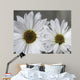 Don Wall Decal Design 2