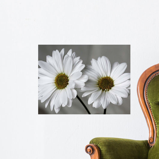 Don Wall Decal Design 1