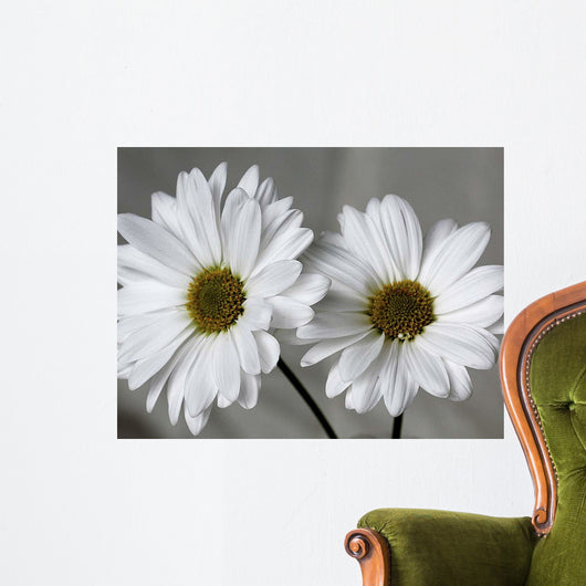 Don Wall Decal Design 1