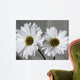 Don Wall Decal Design 1