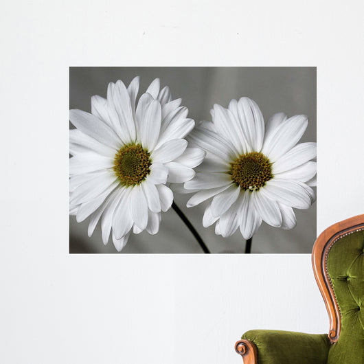 Don Wall Decal Design 1