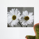 Don Wall Decal Design 1