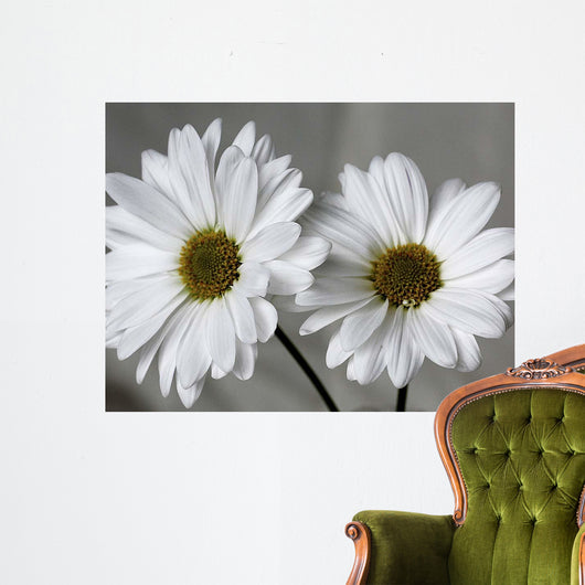 Don Wall Decal Design 1